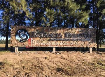 Terreno · 444m² · 1 Ambiente · Vendo. Lotes de 444 M² en Estancia Paraíso. Concordia, Er.