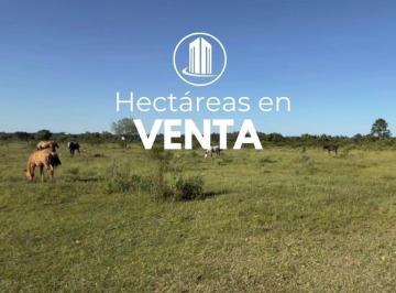 Terreno · 240000m² · 1 Ambiente · Vendo. 24 Hectáreas Sobre Ruta 4. Entre Ríos