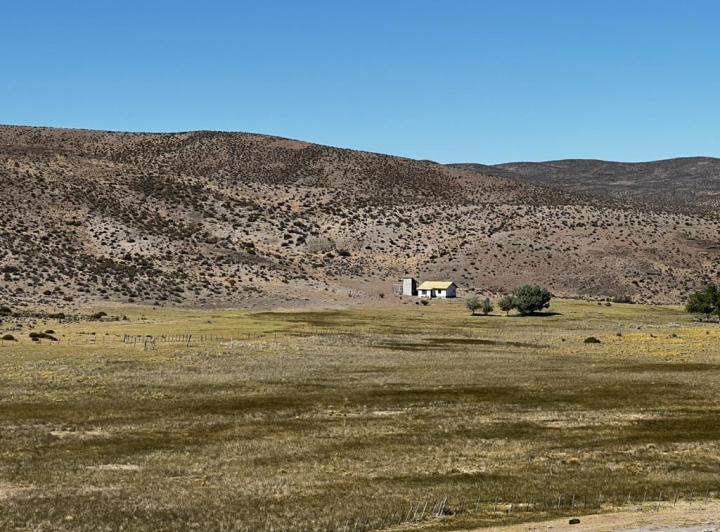 Campo · 15000ha