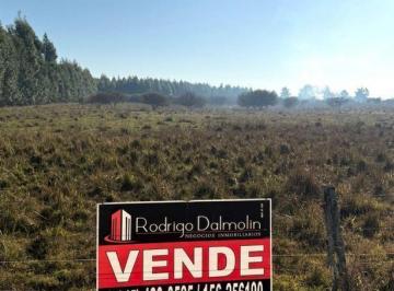 Terreno · 240000m² · 1 Ambiente · Campo en Venta Ruta 14, Concordia (Entre Ríos)