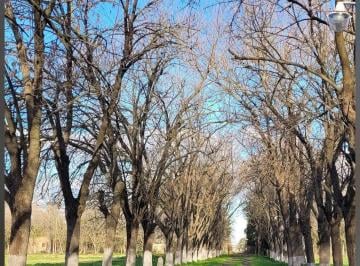 Quinta vacacional de 2 ambientes, La Matanza · Quinta de 10.000 m² con Arboleda Añosa, Pileta y Alto Potencial
