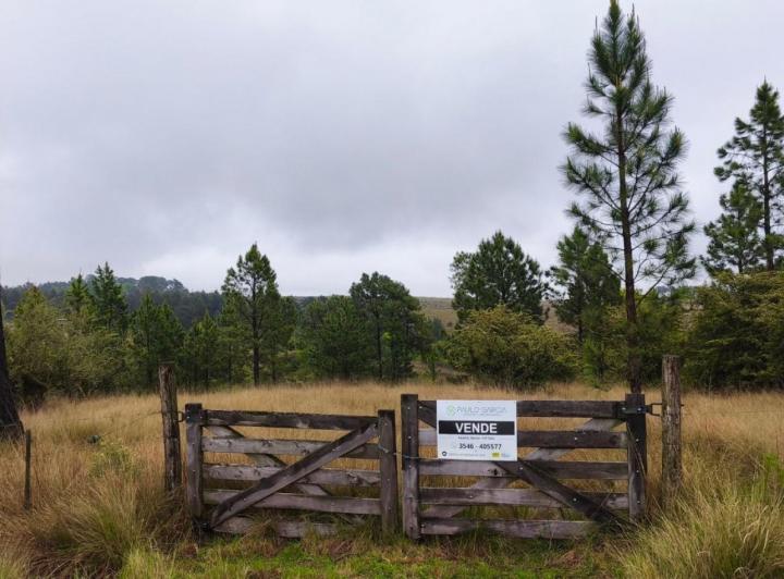 Terreno · 10000m²