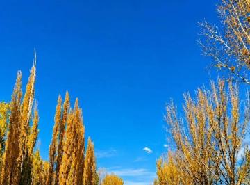 Terreno · 2000m² · Venta de Lote en "El Cepillo" San Carlos