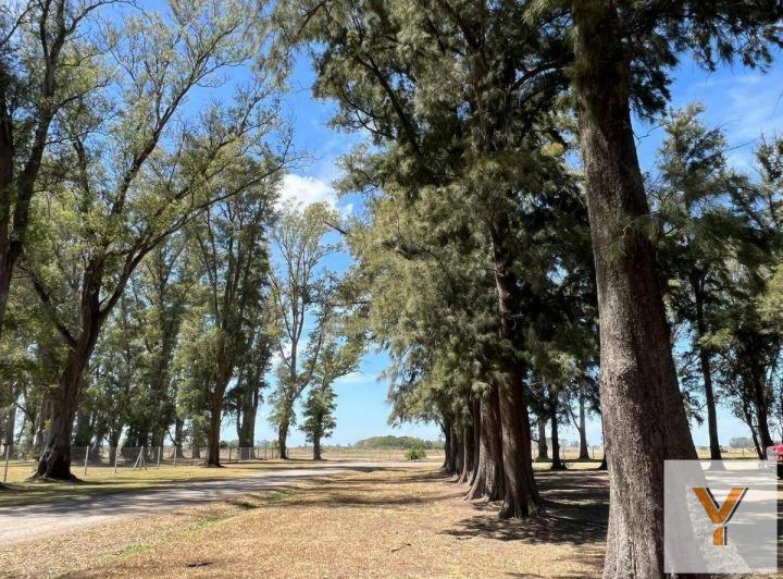 Terreno · 1000m²
