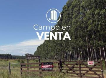 Terreno · 200000m² · 1 Ambiente · Vendo. Campo Camino a Los Charrúas, Sobre Ruta 4. Concordia, Er.