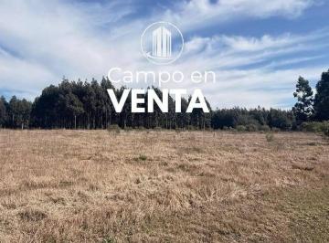 Terreno · 170000m² · 1 Ambiente · Vendo. Campo en Colonia Yeruá. Er.