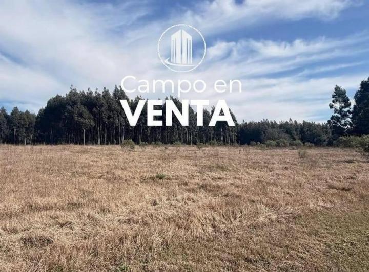 Terreno · 170000m² · 1 Ambiente