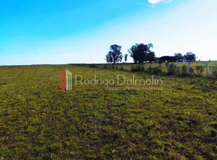 Terreno · 40000m² · 1 Ambiente
