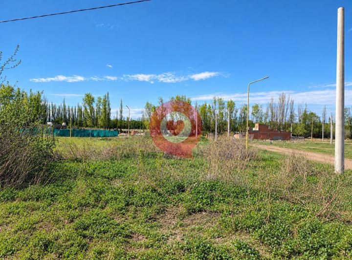 Terreno · 195m²