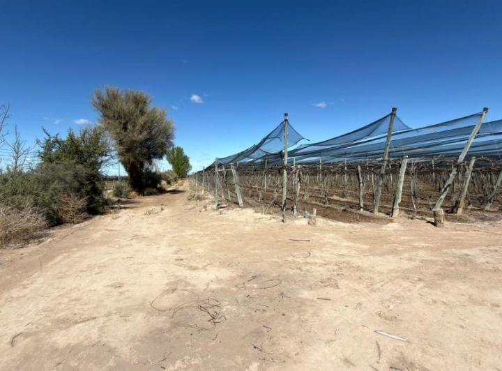 Campo · 116m²