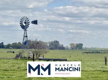 Campo · 735000m² · 1 Ambiente · 73,5 Ha a La Venta San Vicente