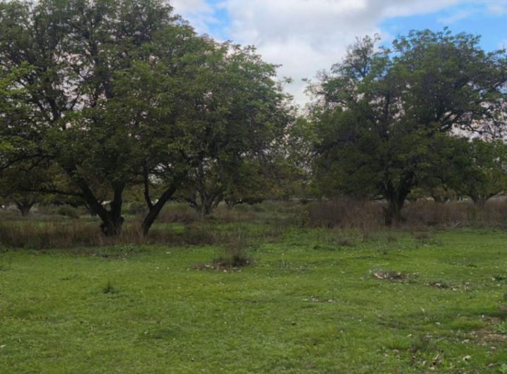 Terreno · 446m²