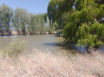 Campo · 91ha · Campo Agrícola con Derecho de Agua Para 65 Ha