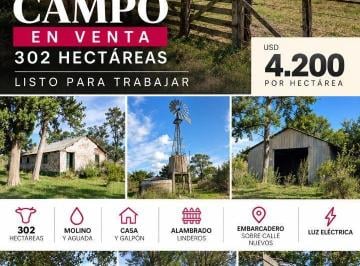 Campo · 312m² · 3 Dormitorios · Campo en Venta por Hectárea - Chascomus - 312 Hectáreas