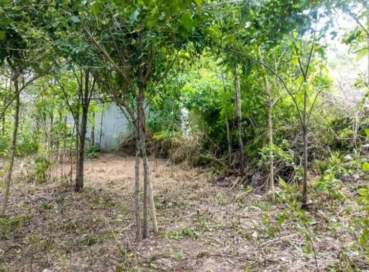 Terreno · 560m²