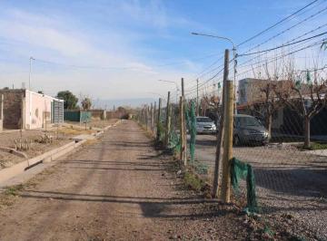 Terreno · 290m² · Lote en Venta Barrio Villa Olivos, Guaymallén