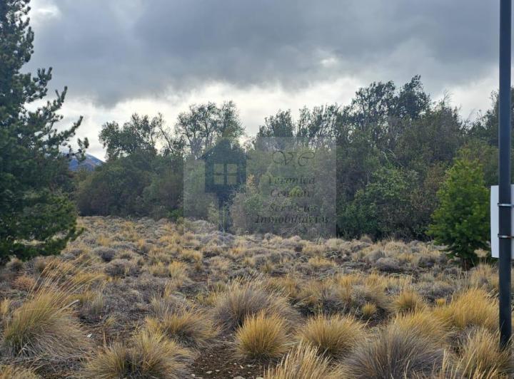 Terreno · 130000m²