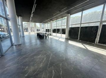 Local comercial , Puerto Madero · Excelente Local Moderno - Apto Todo Rubro - 20 X 8 m