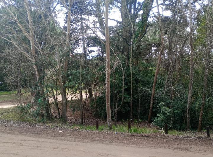 Terreno · 967m²