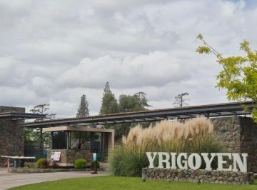Terreno , General Gutiérrez · Excelente Lote en Barrio Privado Yrigoyen de Maipú.