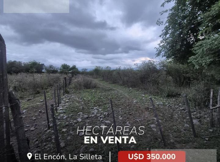 Terreno · 50000m²