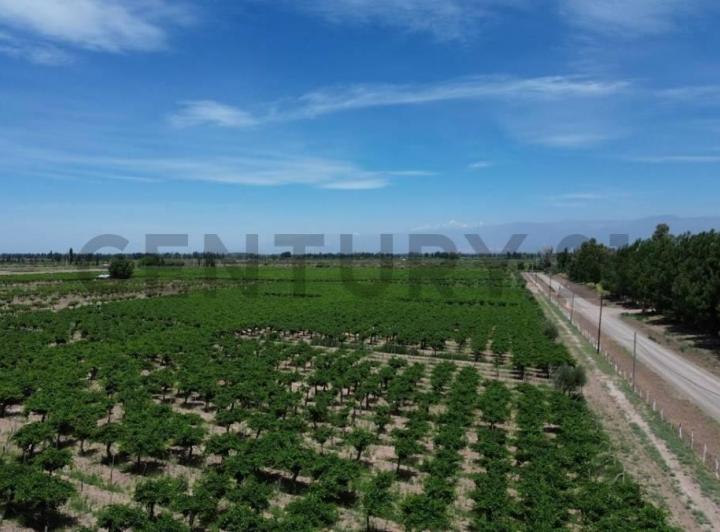Terreno · 1500ha · 1 Ambiente · 1 Cochera