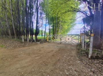 Campo · 10488m² · Hectárea en Venta China Muerta
