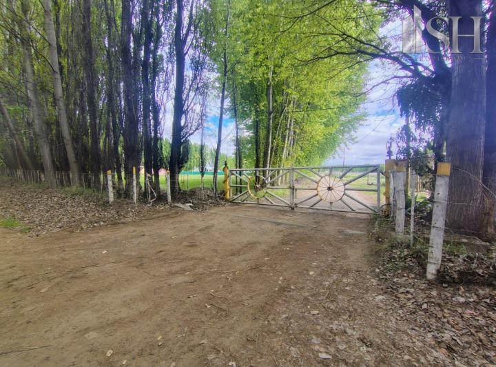Campo · 10488m²