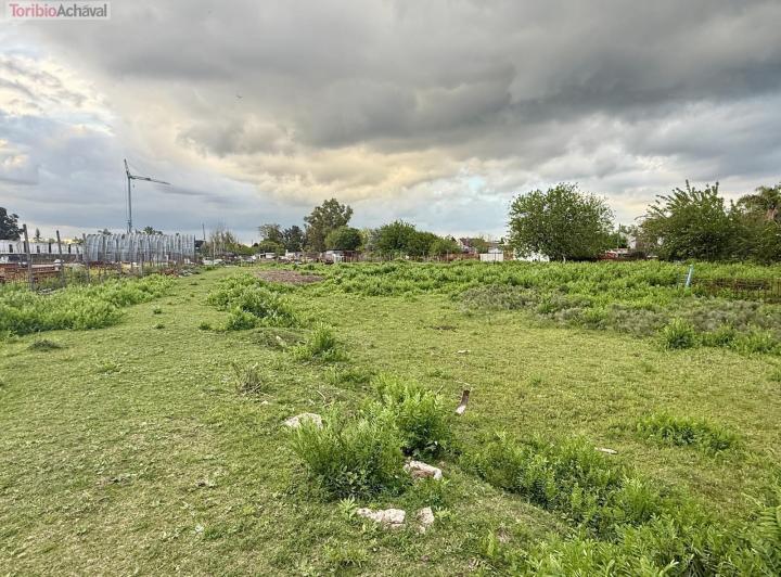 Terreno · 17000m²