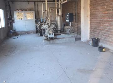 Campo · 25000m² · 4 Ambientes · Chacra con Camara de Frio en General Fernandez Oro