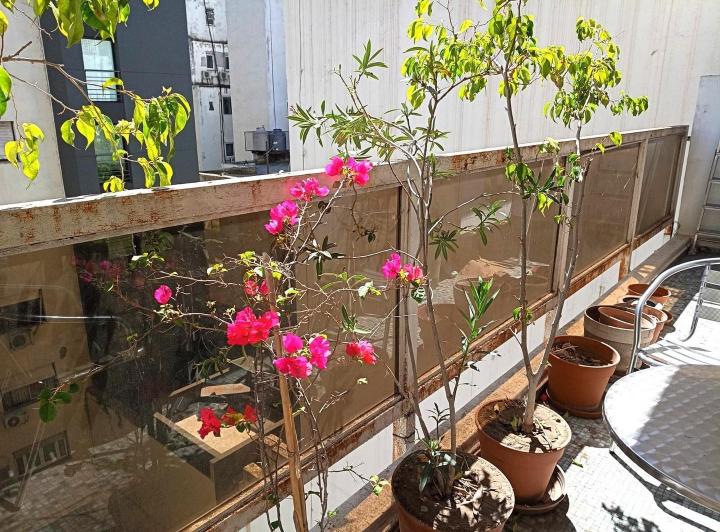 Departamento · 73m² · 3 Ambientes