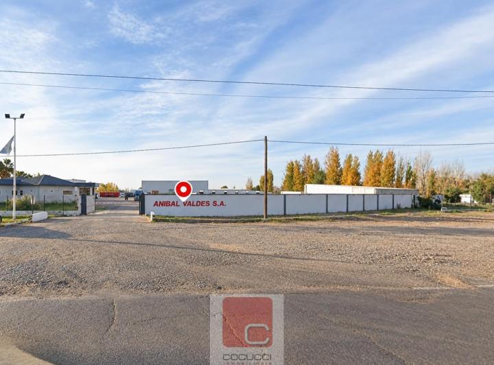Bodega-Galpón · 1200m²
