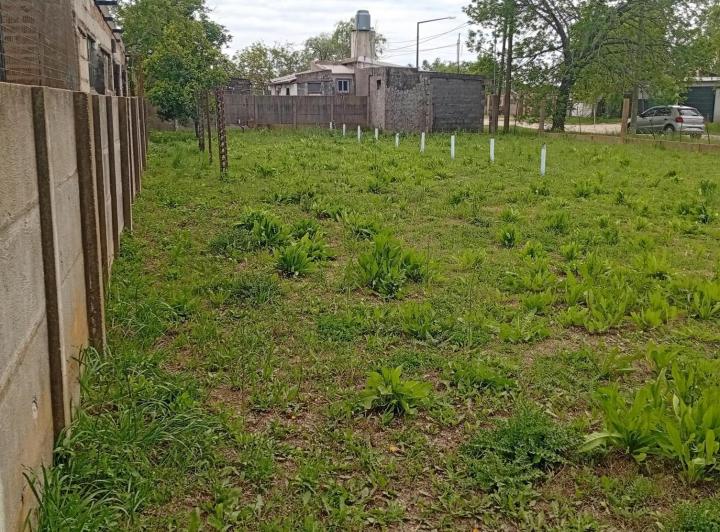 Terreno · 335m² · 1 Ambiente