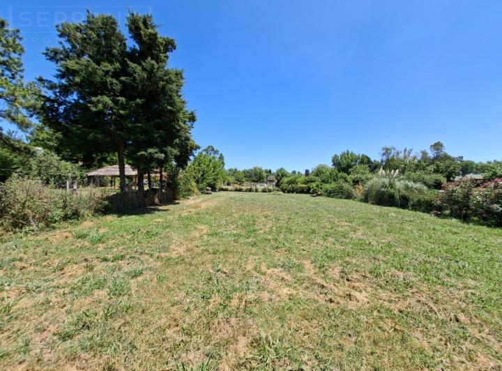 Terreno · 730m²