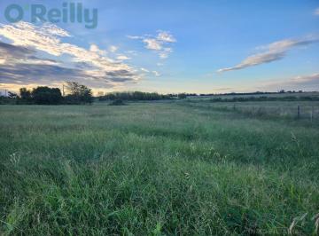Campo · 10000m² · Venta Chacra de 1 Ha en Zelaya, Pilar, Buenos Aires