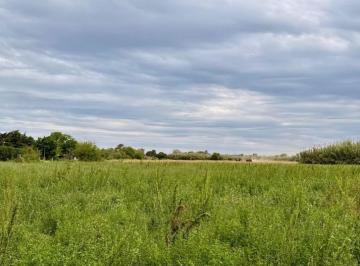 Campo · 35000m² · Campo de 3,5 Ha en Venta