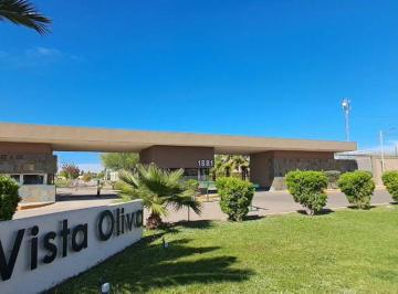 Casa de 3 ambientes, Maipú · Venta Casa en Obra Gruesa o a Estrenar en Barrio Privado Vista Oliva - Tropero Sosa 1881 - Maipu