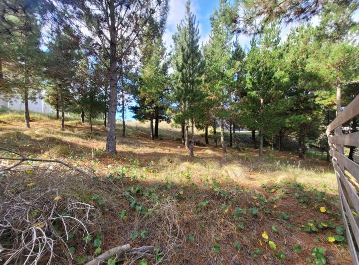 Terreno · 1200m²