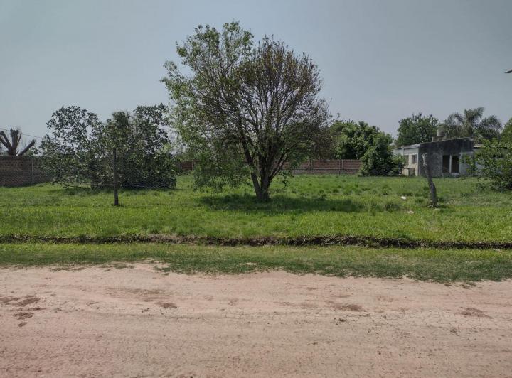 Terreno · 292m²