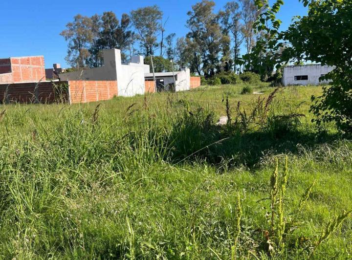 Terreno · 250m²