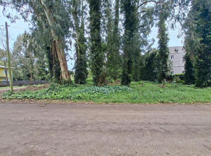 Terreno · 420m²
