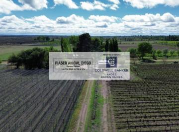 Campo · 32ha · 4 Ambientes · 1 Cochera · Finca en Goudge - San Rafael