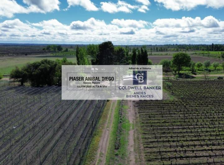 Campo · 32ha · 4 Ambientes · 1 Cochera