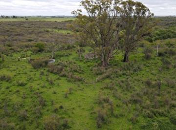 Campo , Gualeguaychú · 27 Hectáreas Ganaderas Altas en Venta, Gualeguaychú