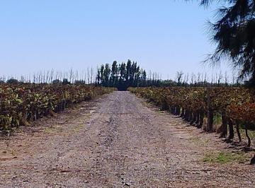 Campo · 200ha · Finca de 447 Has con Pozo y Sistema de Riego