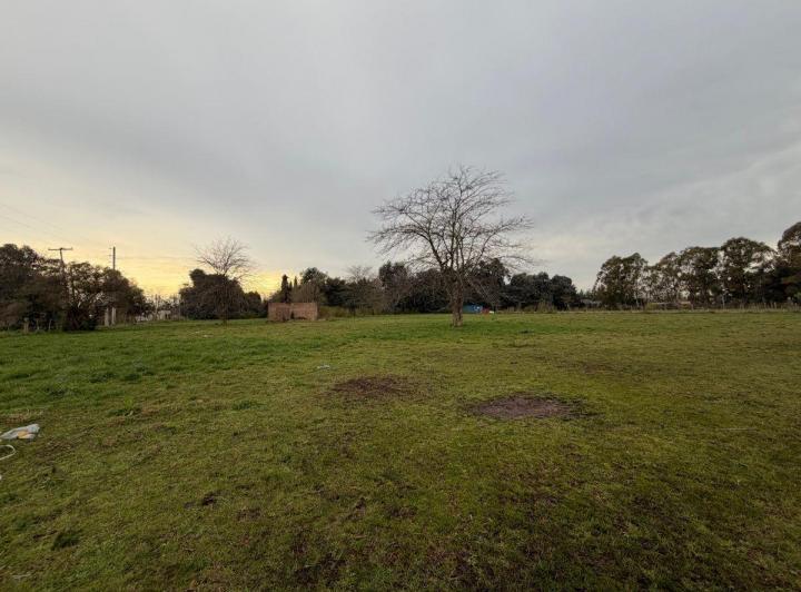Terreno · 15000m²