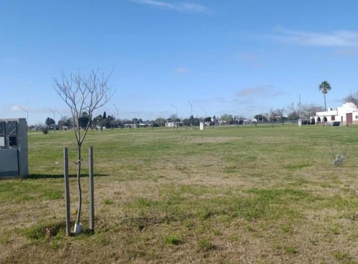 Terreno · 302m²
