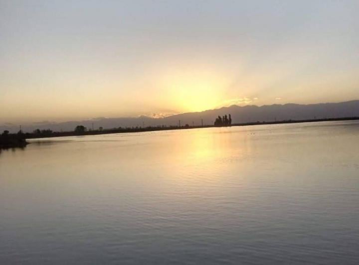 Campo · 583ha
