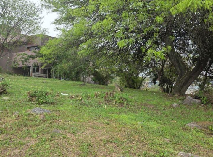 Terreno · 1570m²