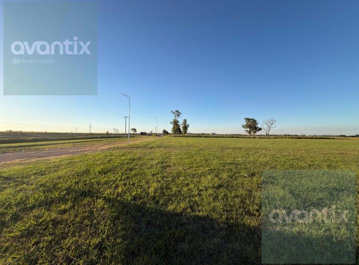 Terreno · 10000m²